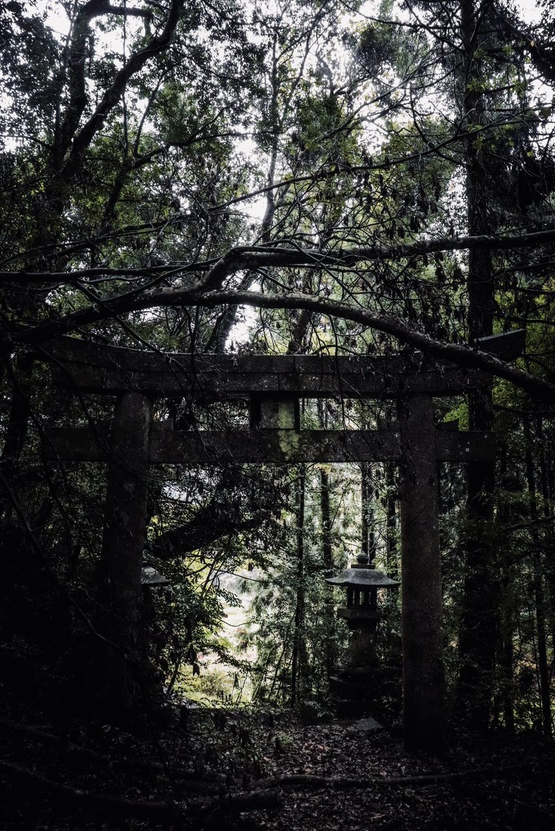 しどろ tweet media