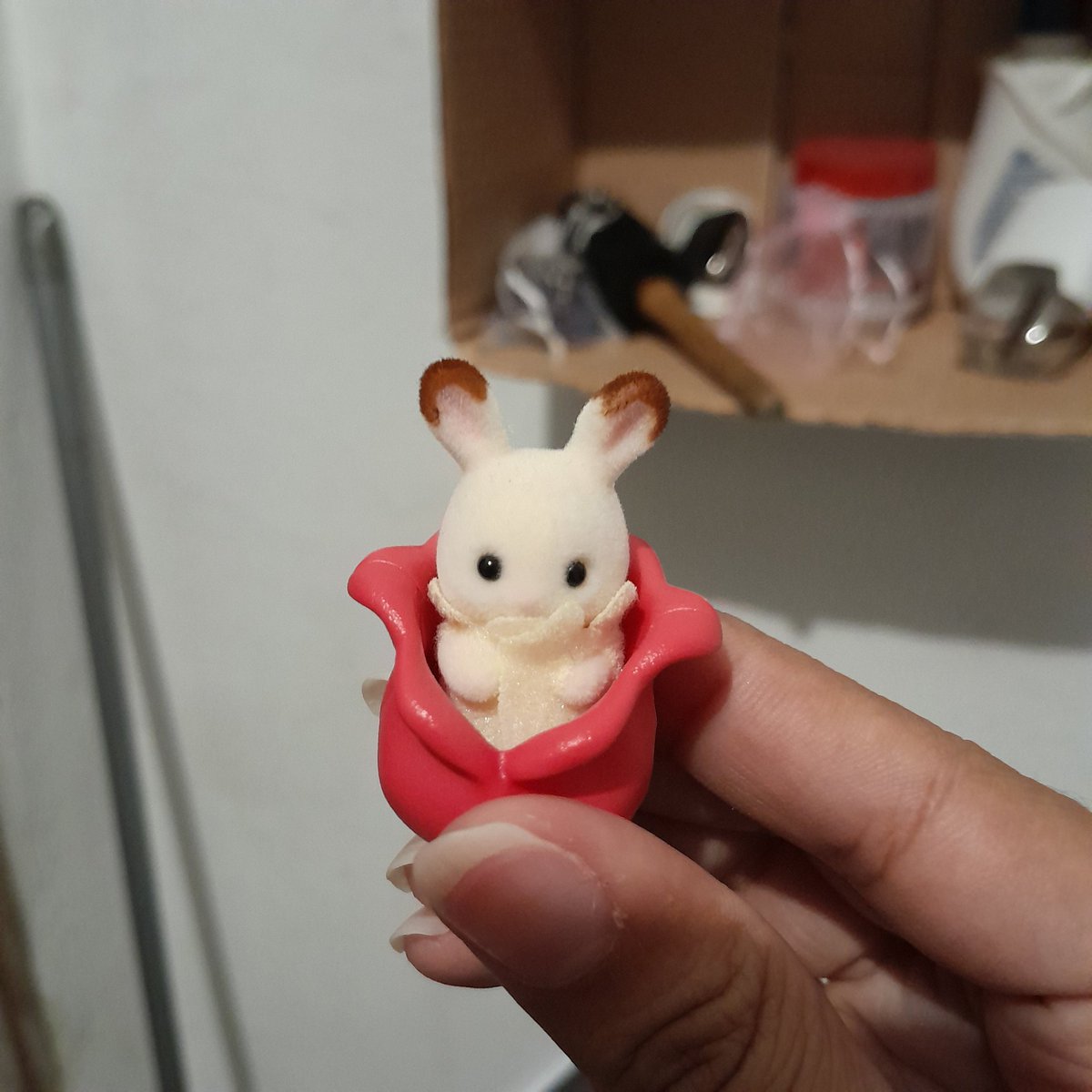 jeieli ࣪ ִֶָ☾. tweet media