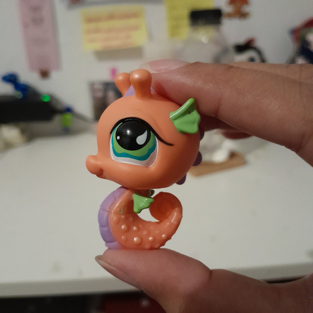 jeieli ࣪ ִֶָ☾. tweet media