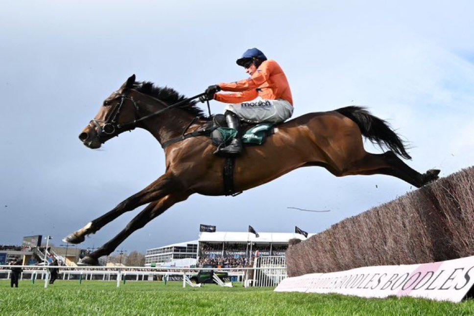 The last mare to win the Grand National was Nickel Coin in 1951.

Can Panic Attack become the first mare in 75 years to win it? 🐎