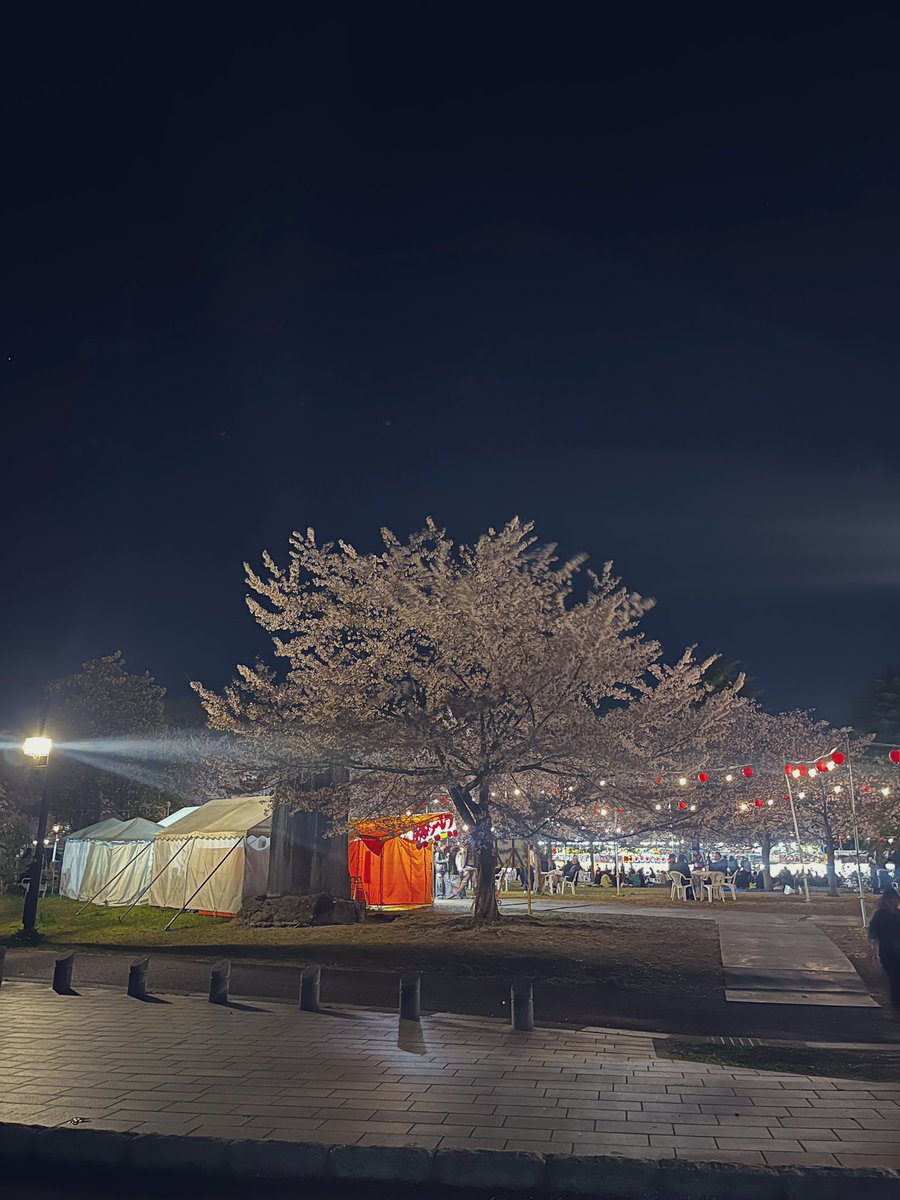 西公園お花見 tweet media