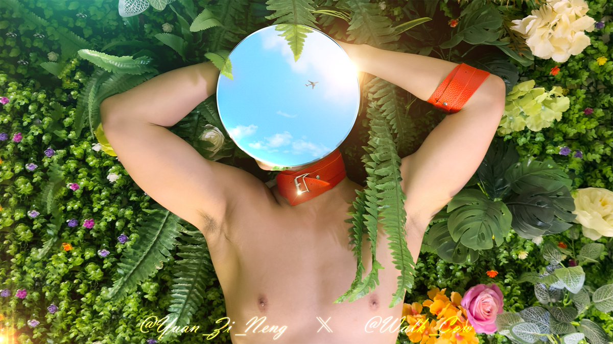 EnjoyLife tweet media