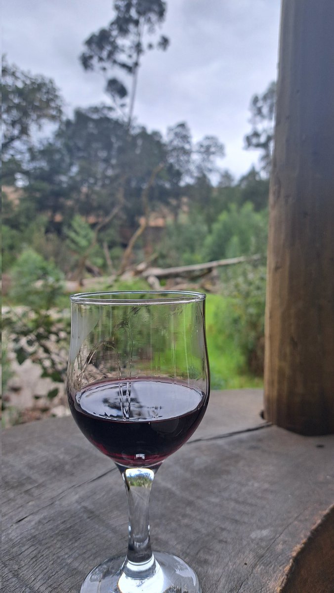 Carleigh ♡ tweet media