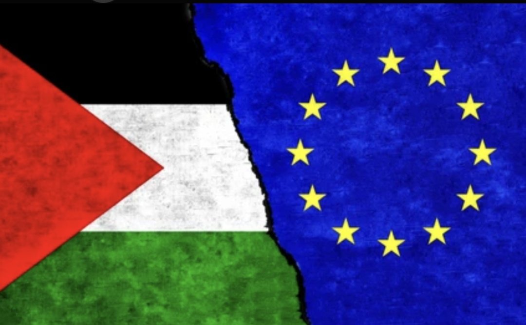 ZEShan ⚫ tweet media