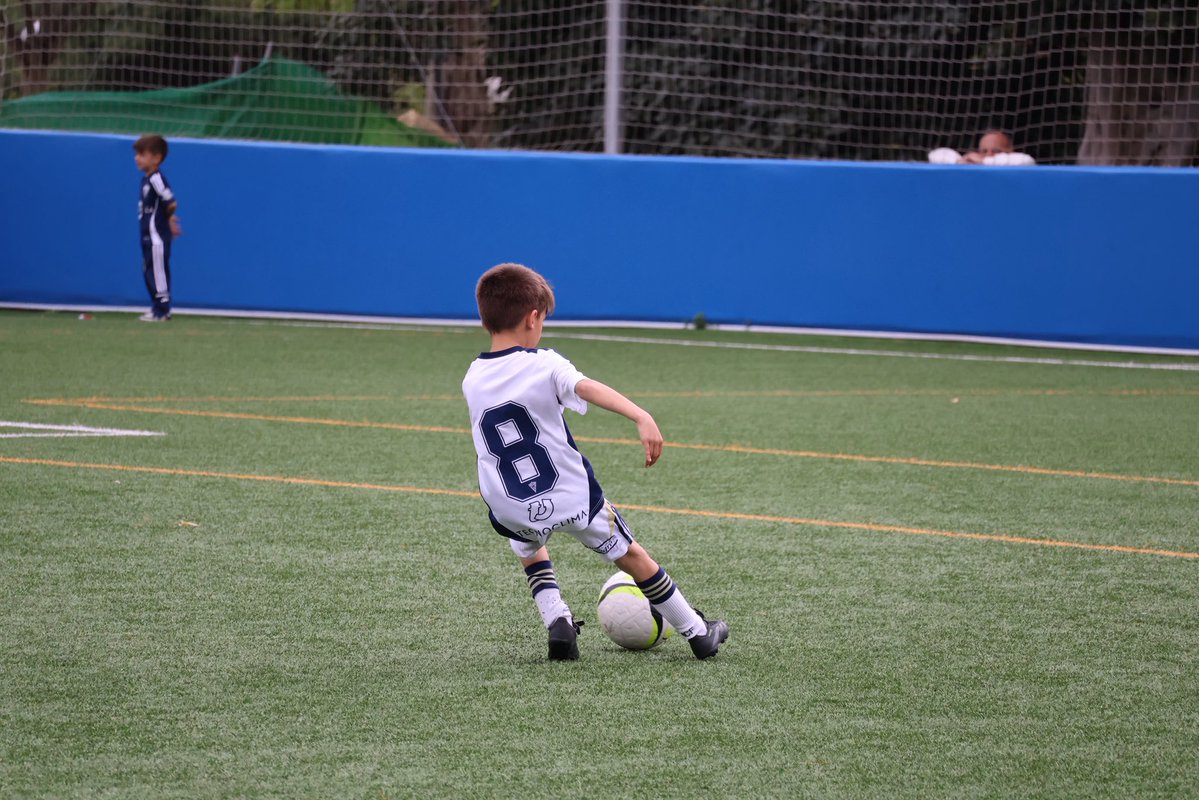 Marbella FC Talents tweet media