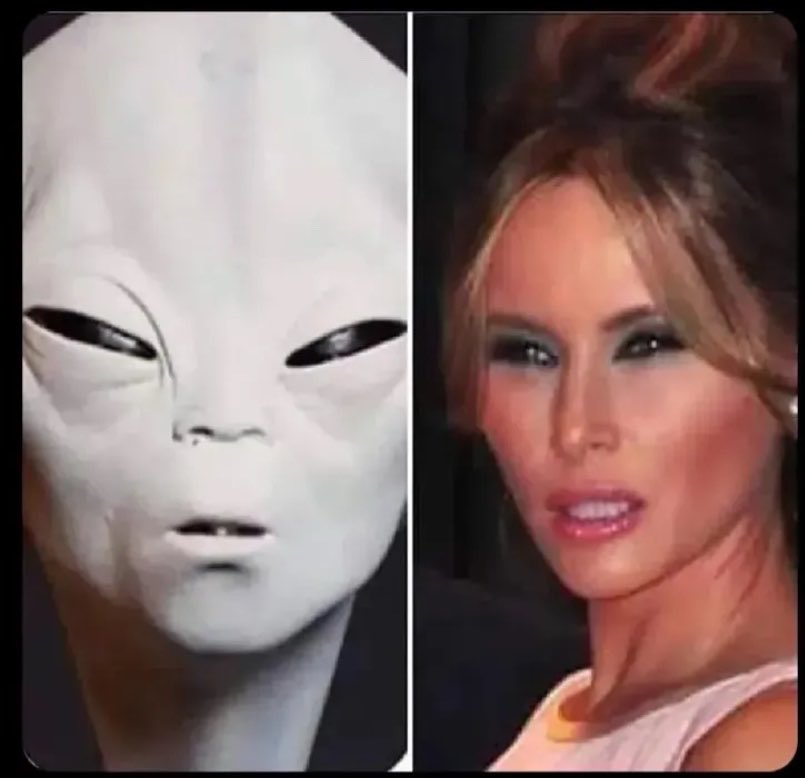 (Jen) 🟧 💙🗽🌊 tweet media