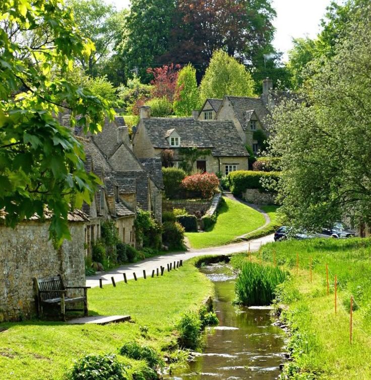 WORLD VIEW tweet media