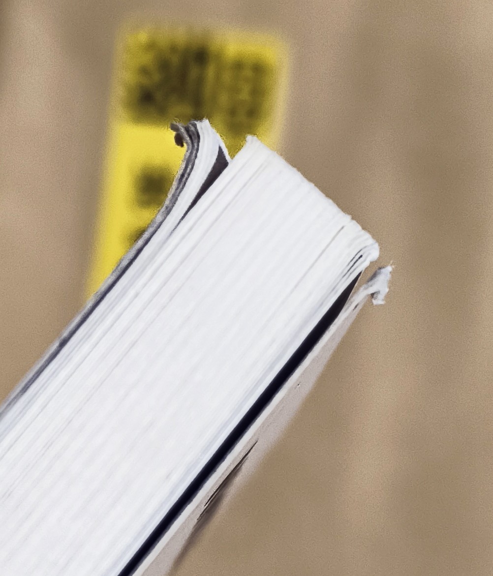 惠 エリカ tweet media