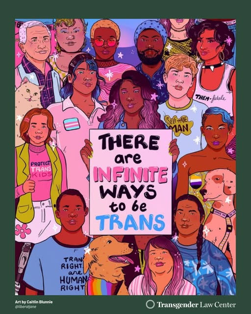 Gay Not Queer tweet media