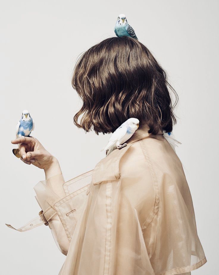 غــادةᡴꪫ tweet media