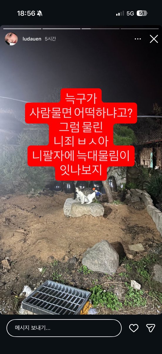 다빈이 tweet media