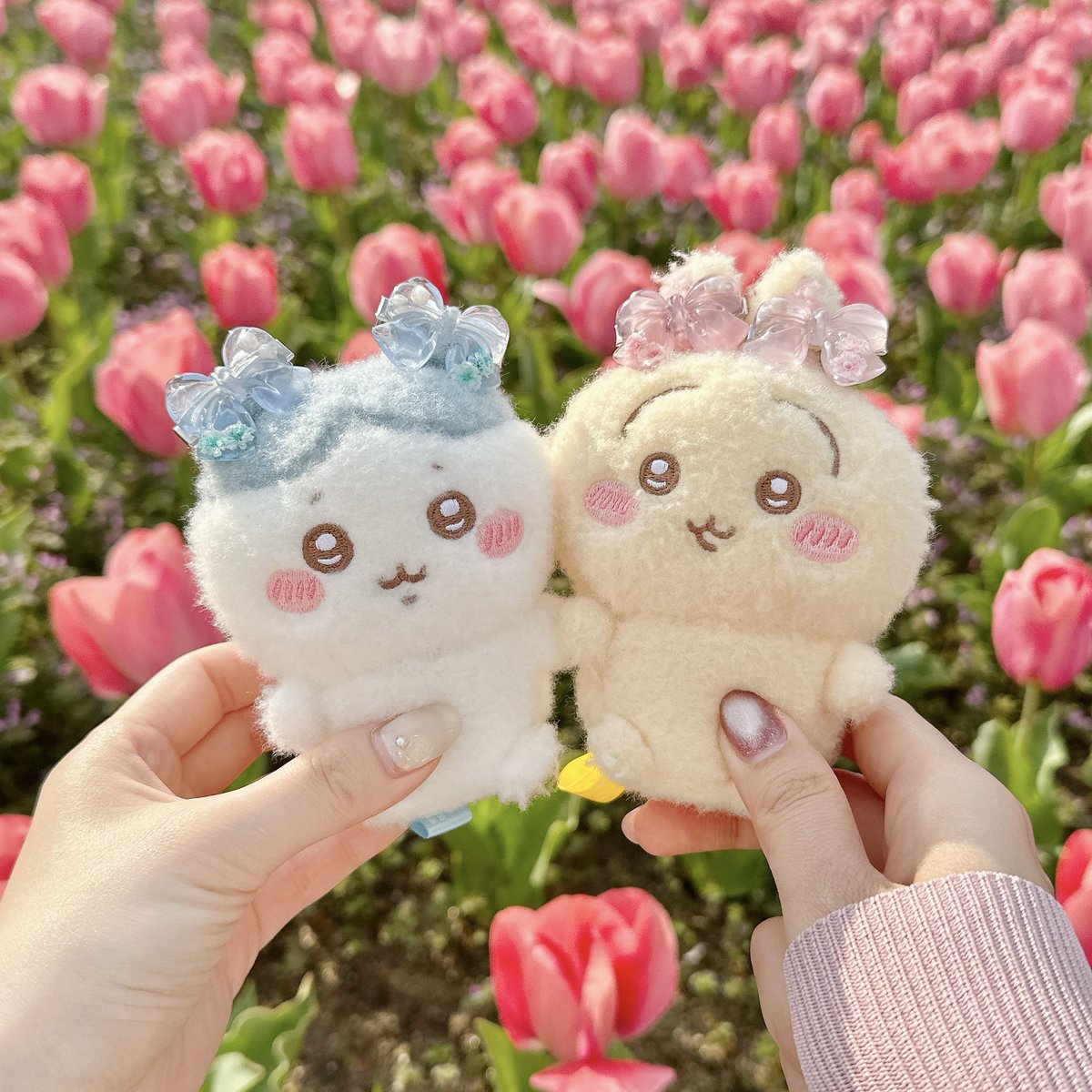 𝓴𝓲𝓷𝓪𓈒𓋜 tweet media