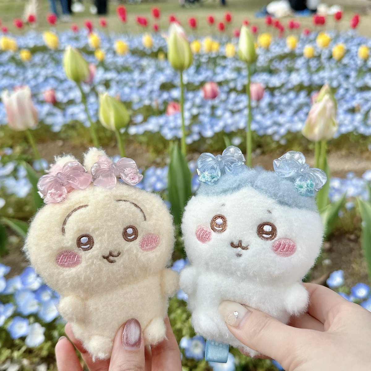 𝓴𝓲𝓷𝓪𓈒𓋜 tweet media