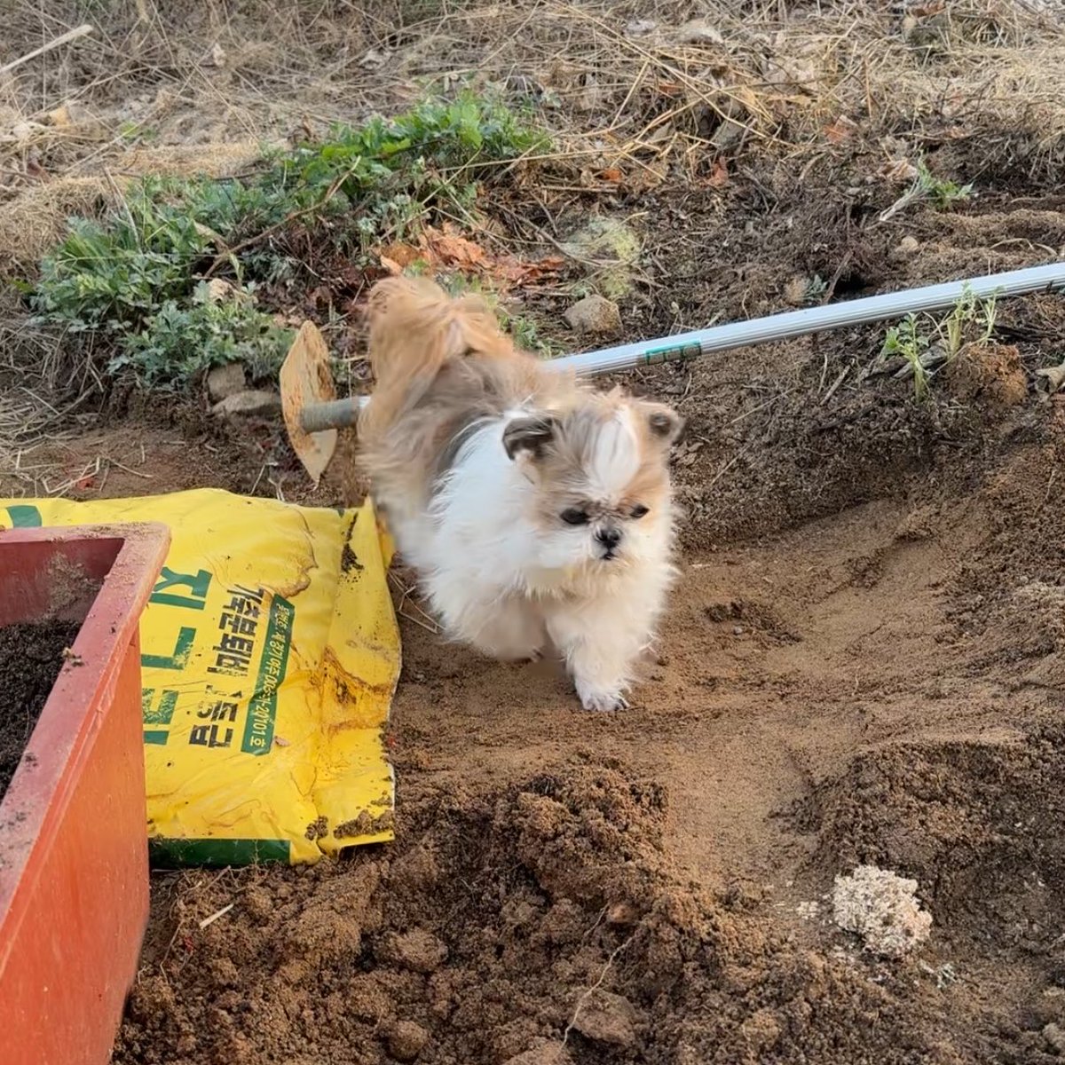 몽룡이 tweet media