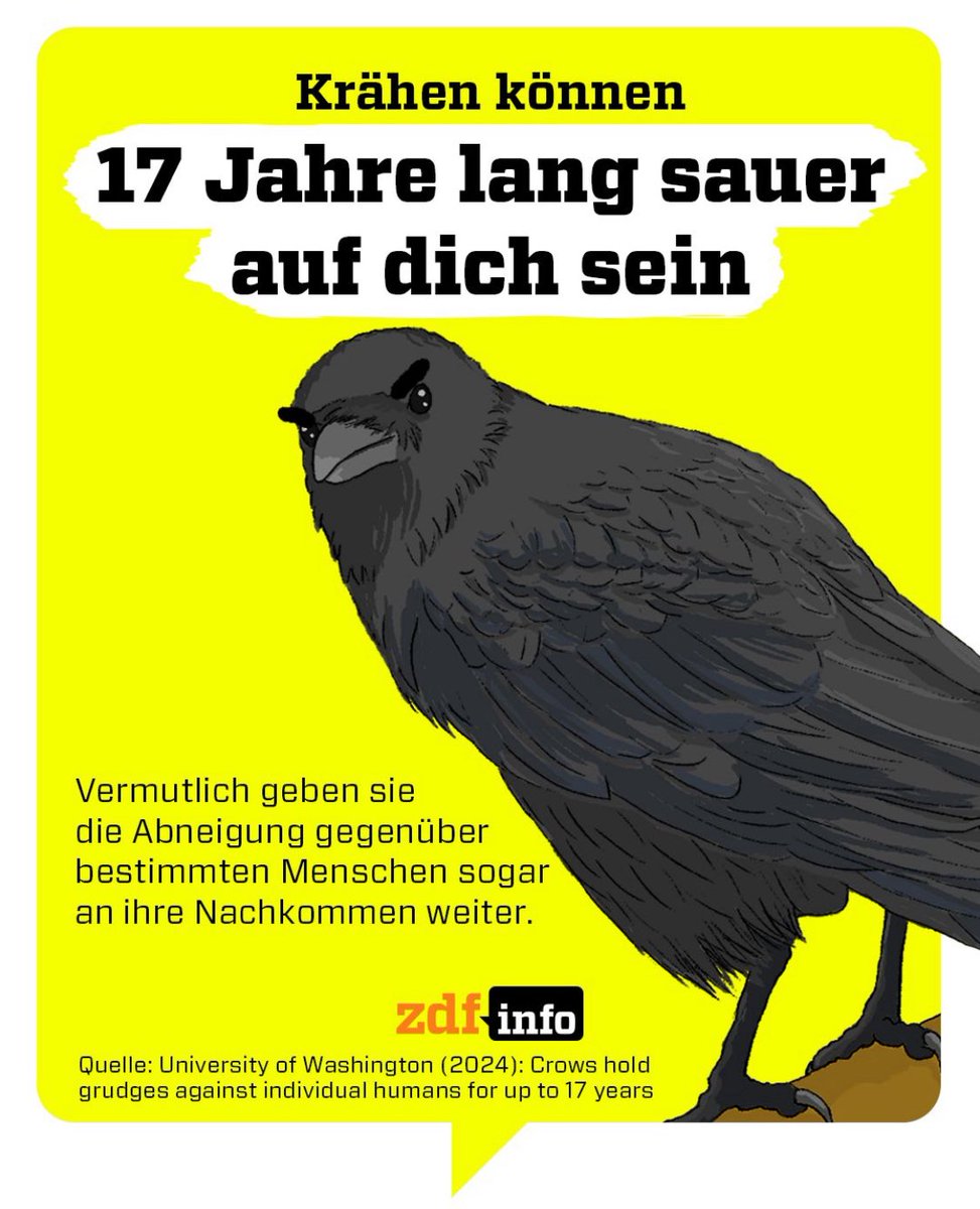 unt@drūkkt@ kœRr$chi tweet media