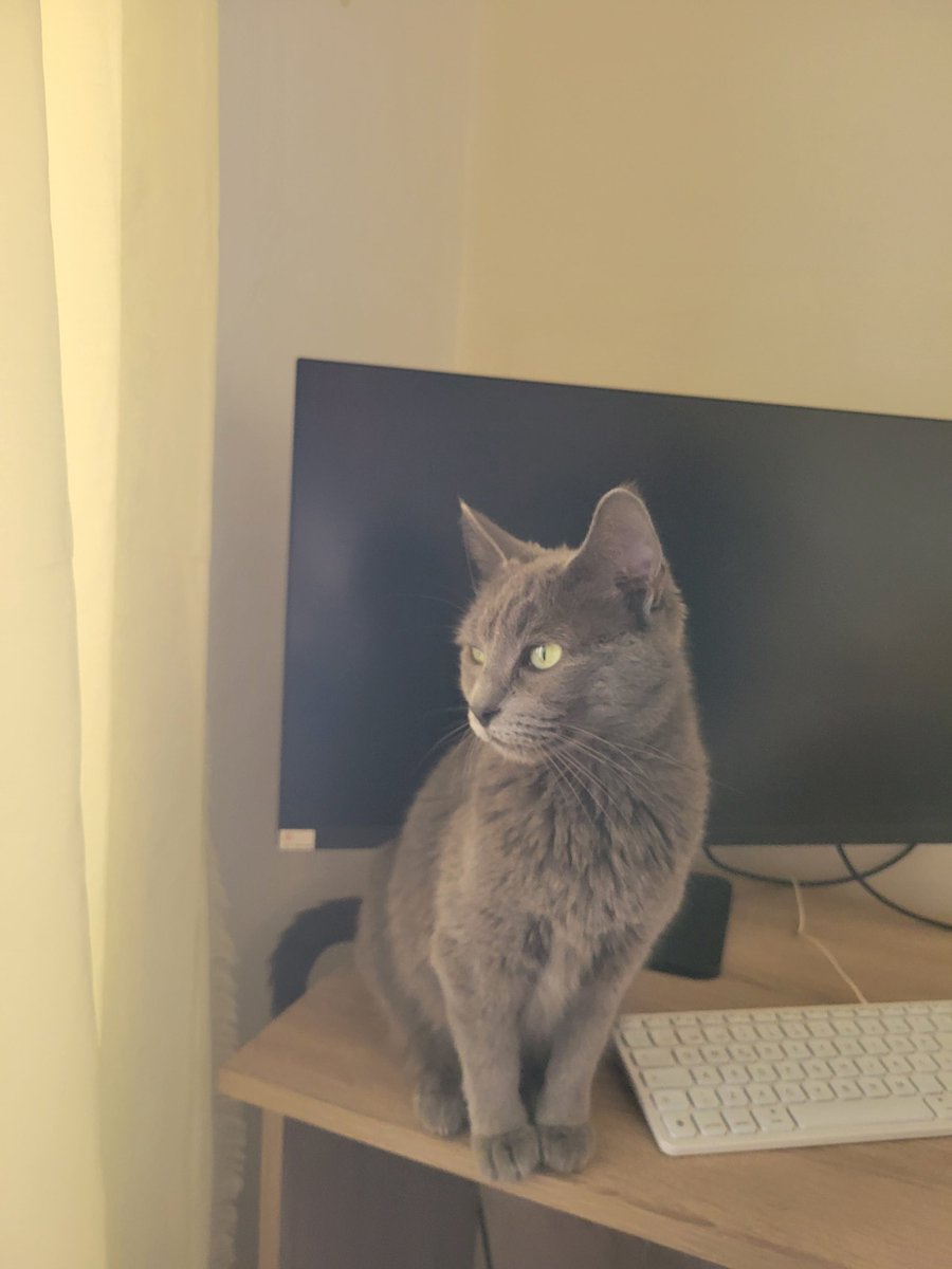 Cristina López Hara tweet media