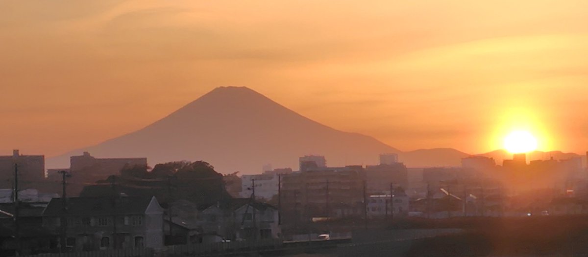 みっきーな tweet media