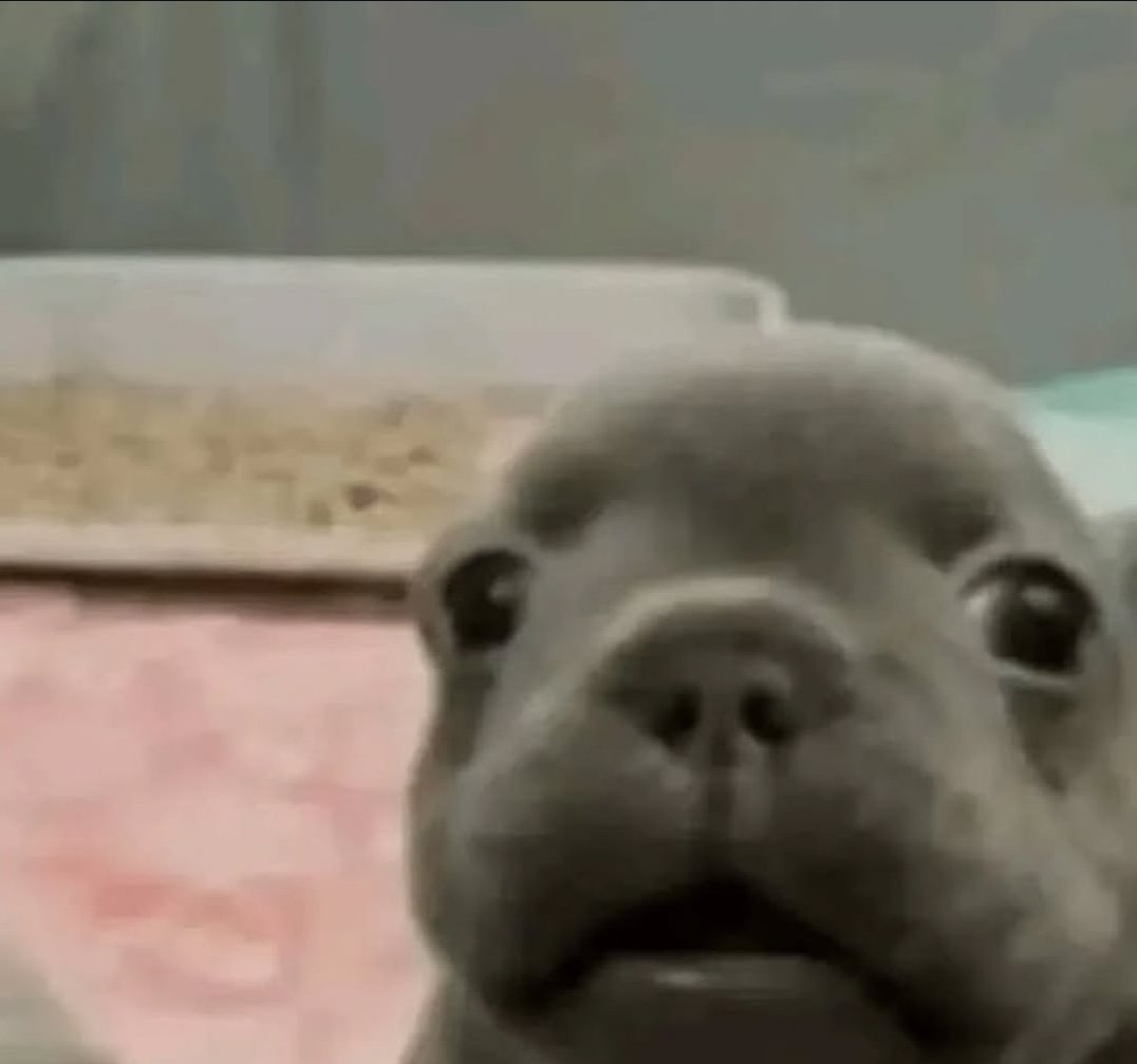 Serenity 🍀🦇 tweet media