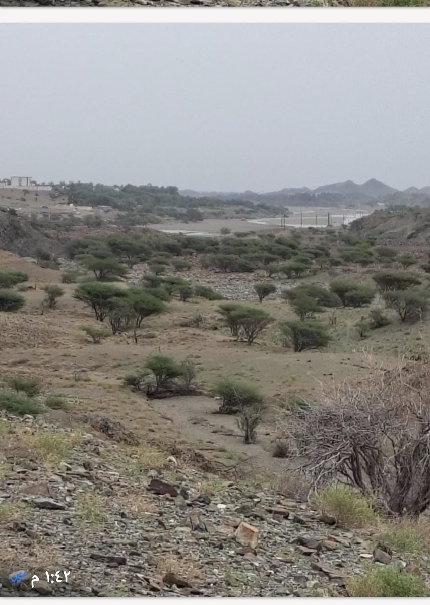 منصة الولايات الالكترونية tweet media