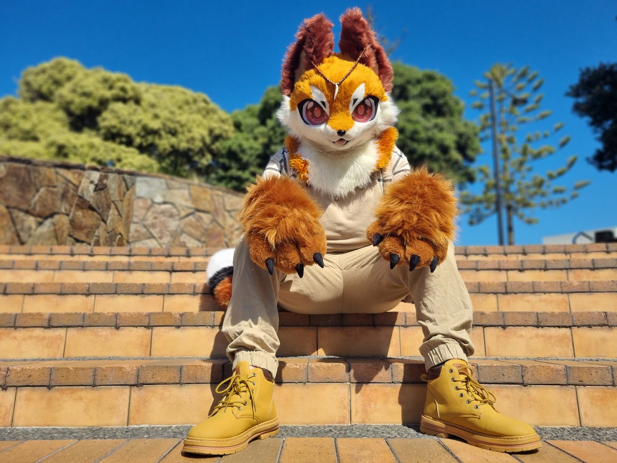 Dyslexic_Fox🦊 tweet media