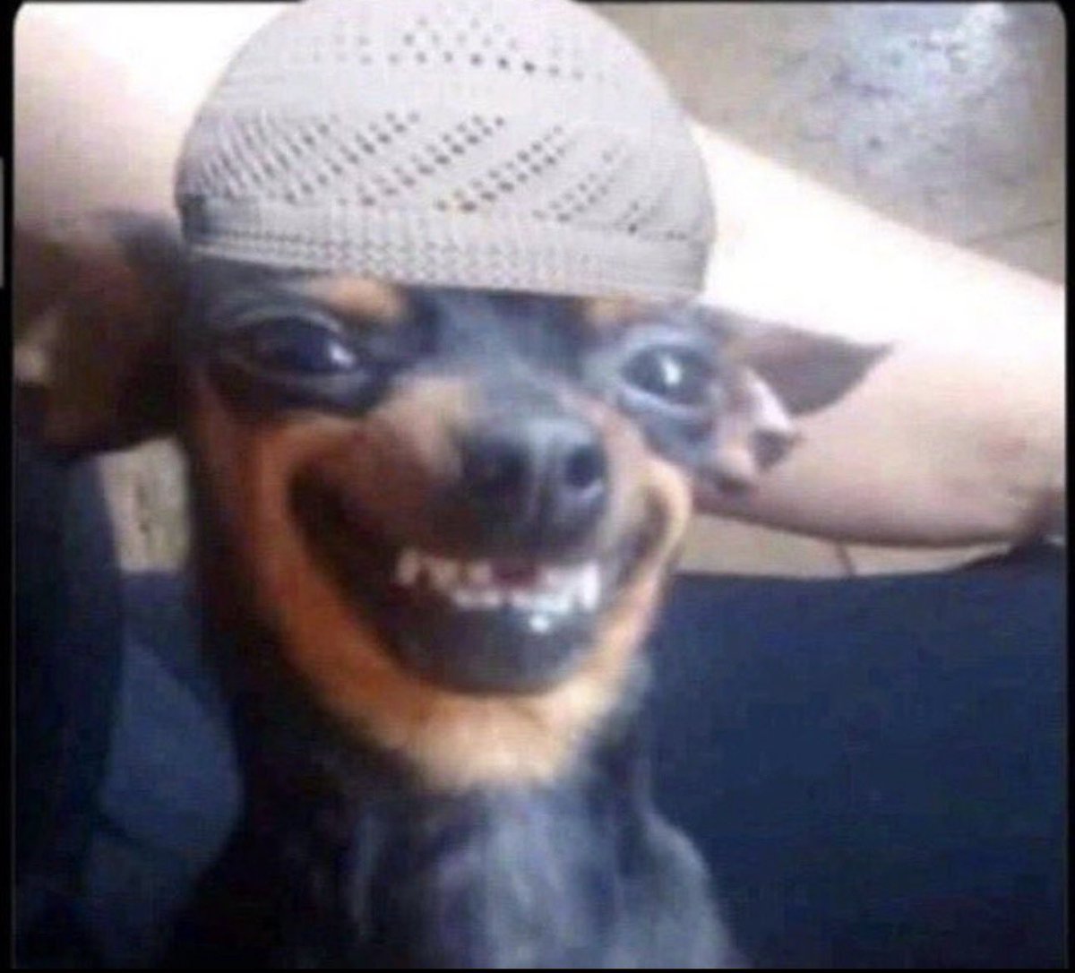 Akande🤖 tweet media