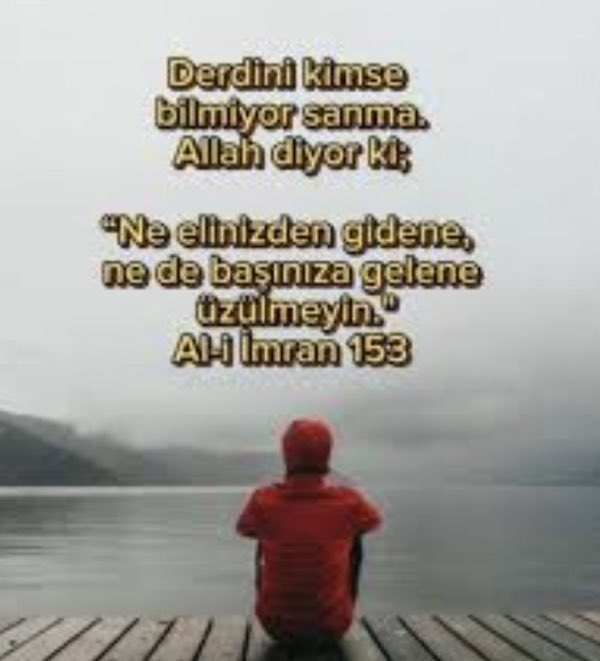 İlayda Mutluer tweet media