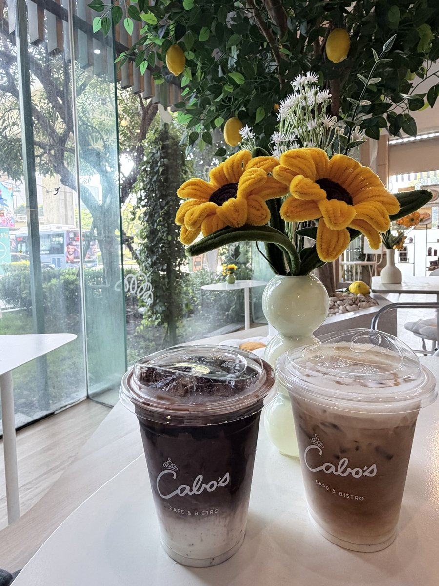 Patsnnn's tweet photo. HBD เจ้าภู 21 ขวบ 🎂
ป้ามาหา2 วันเลยน้า
คาเฟ่น่ารัก รูปหล่อ เริ่ด ปังทุกรูป
มีแต่คนรักภูเต็มไปหมดเลย 💙
#PHUTATCHAI
#HappyPHUTATCHAIday
#PHUTATCHAI21stHallofFame https://t.co/jZdO3oBqdh