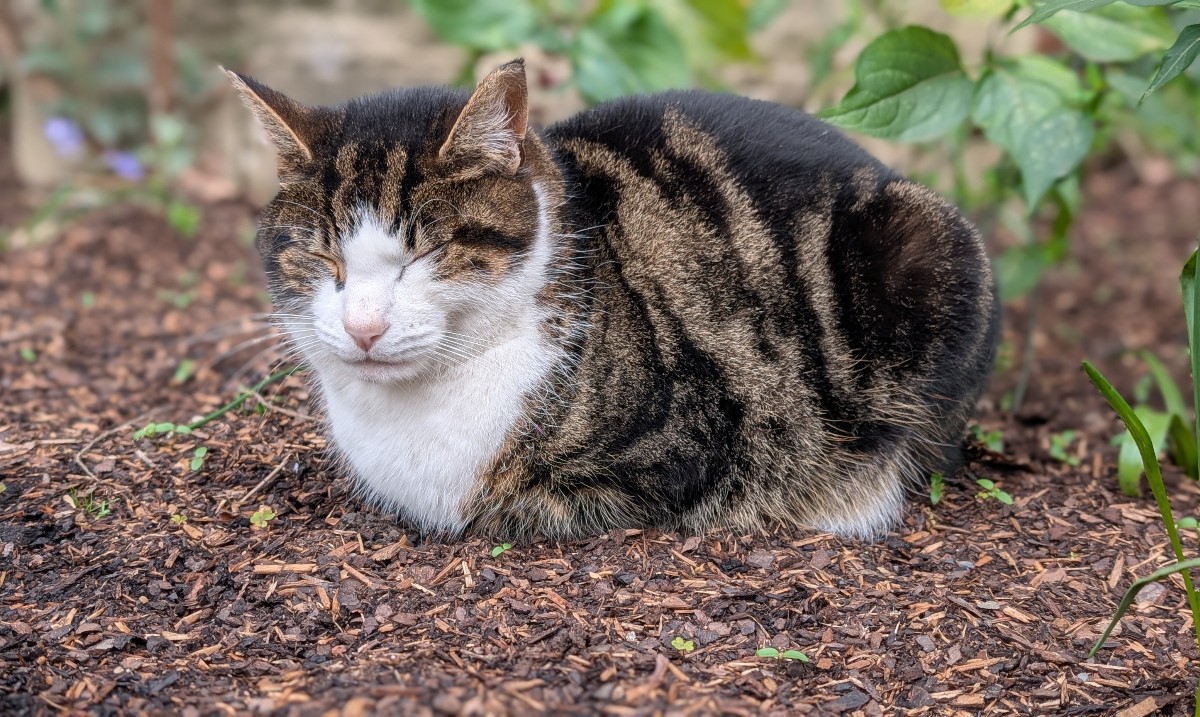 Exeter College, Oxford tweet media