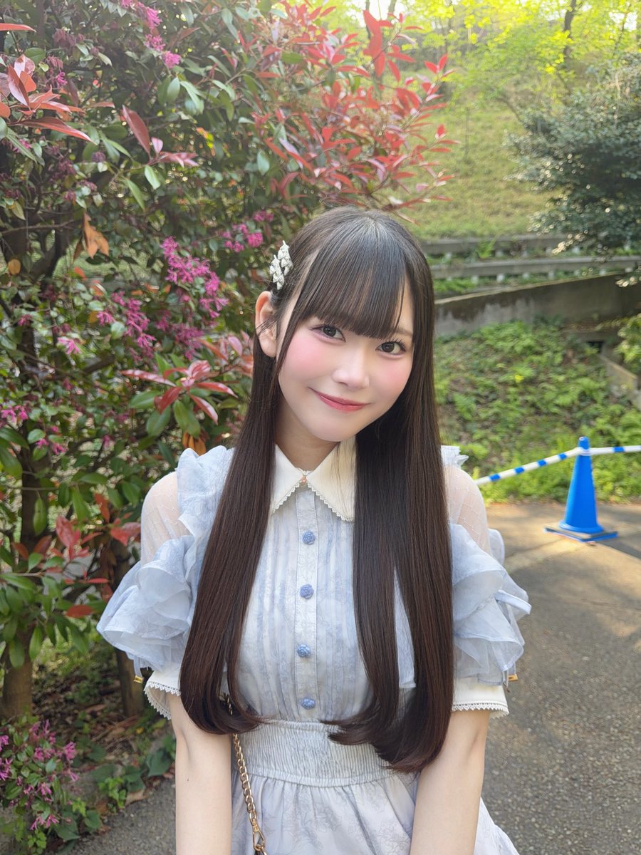 野瀬はる tweet media