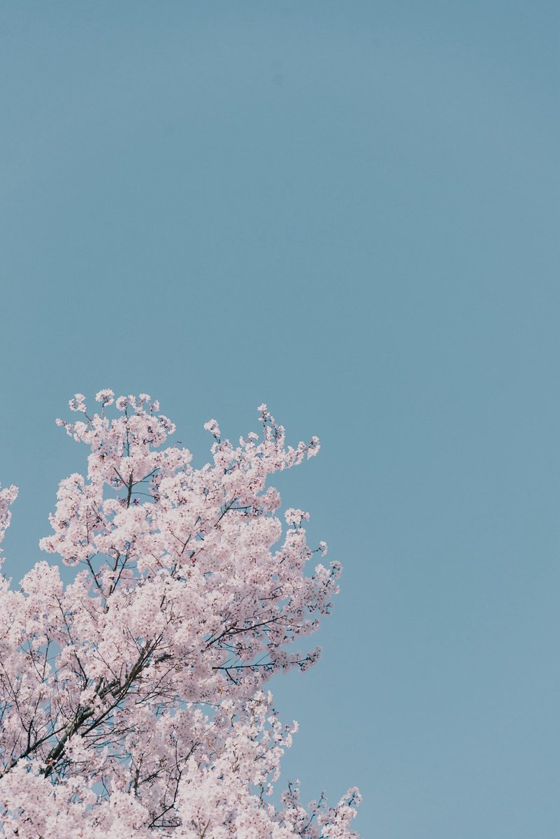 、、、 tweet media