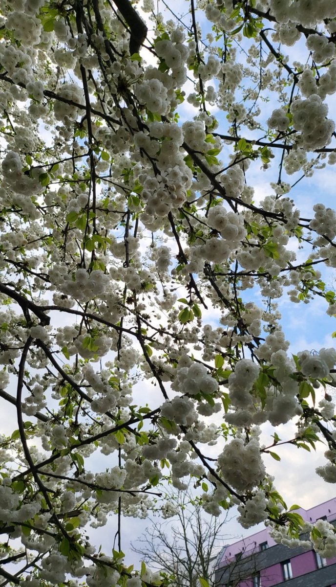 Steffen Noleppa tweet media