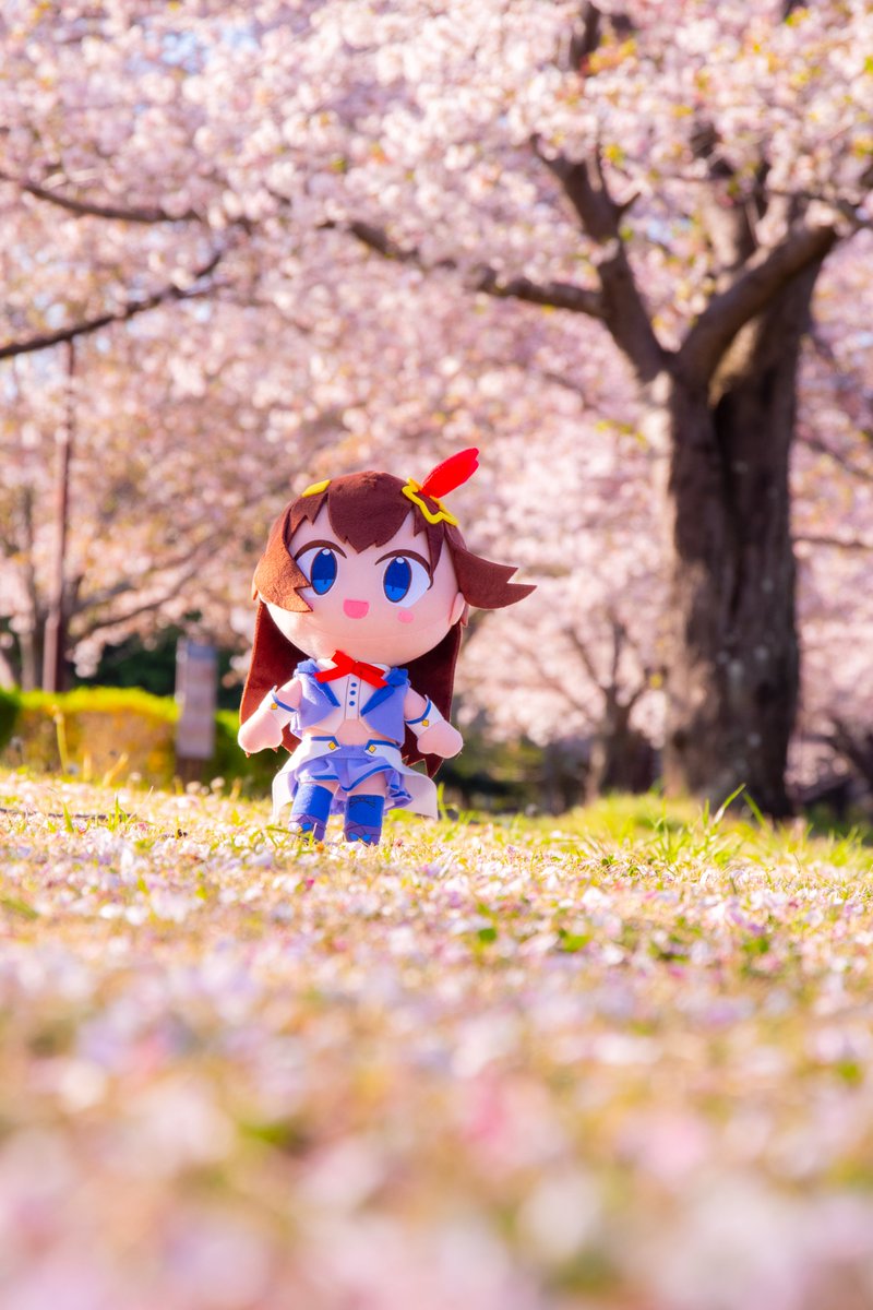 えのしまのそら🐻💿(๑╹ᆺ╹) tweet media