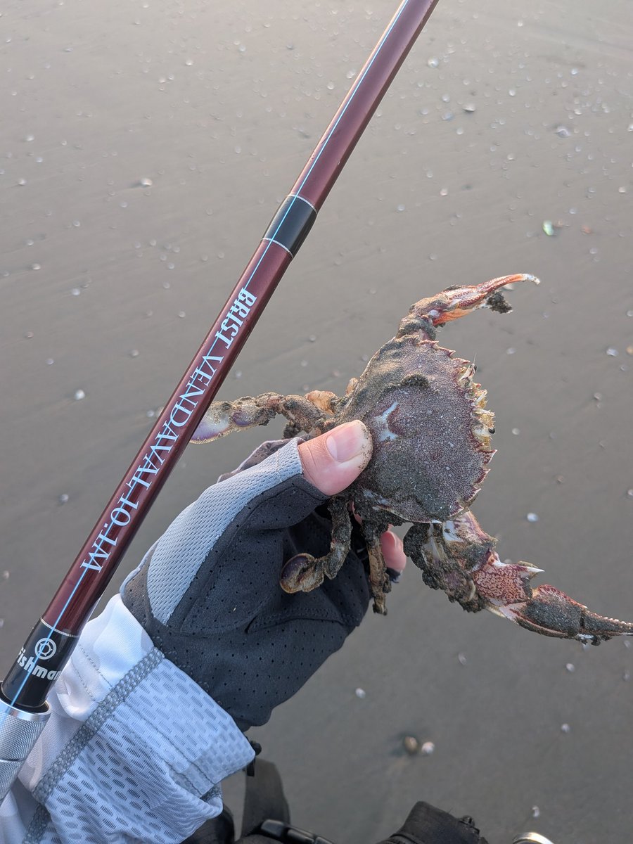 atsukatsu1294's tweet image. ベンダでサーフイン！
カニ釣れた🦀
#Fishman