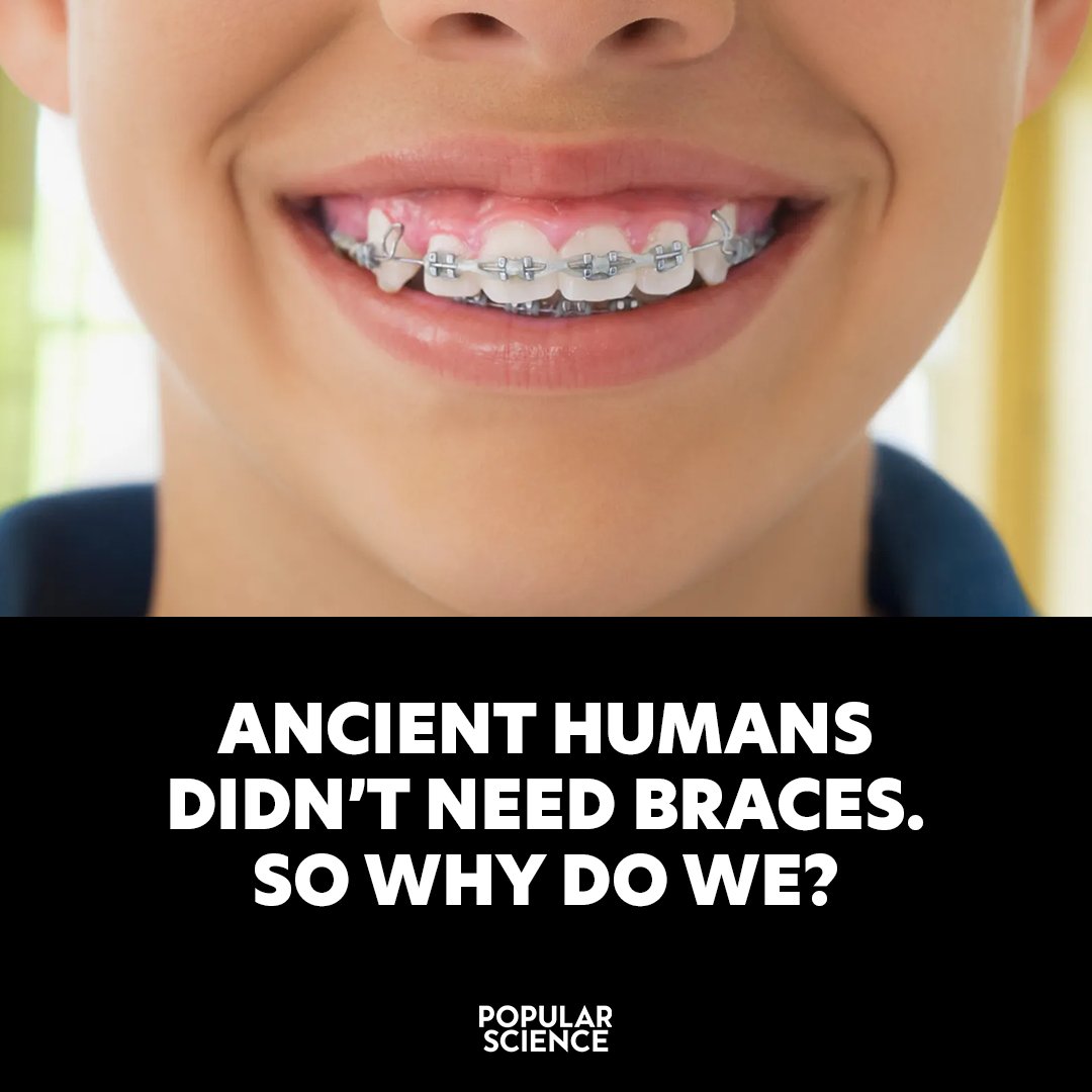 Popular Science tweet media