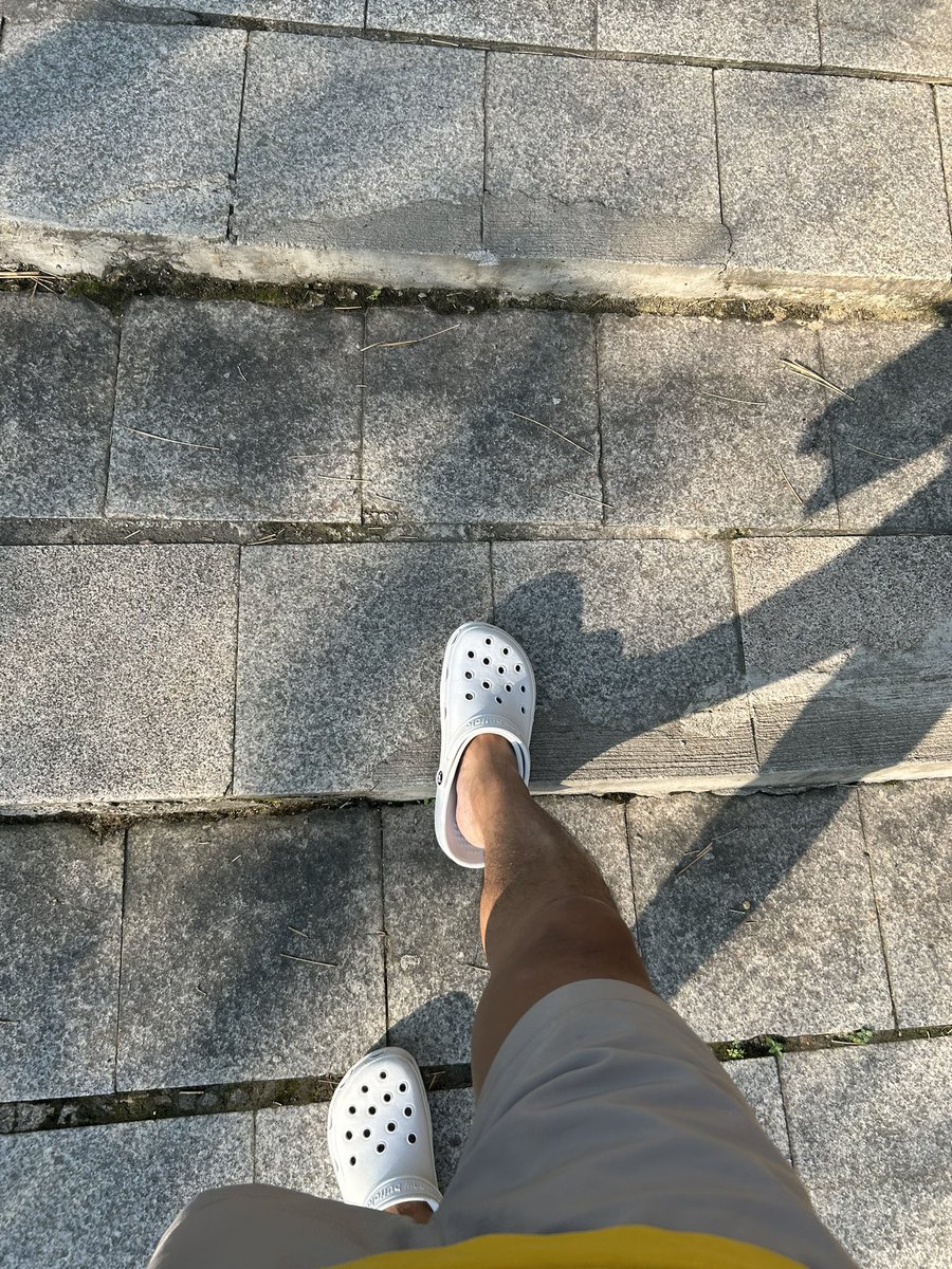 屏東黑糖🍭🍭🍭 tweet media