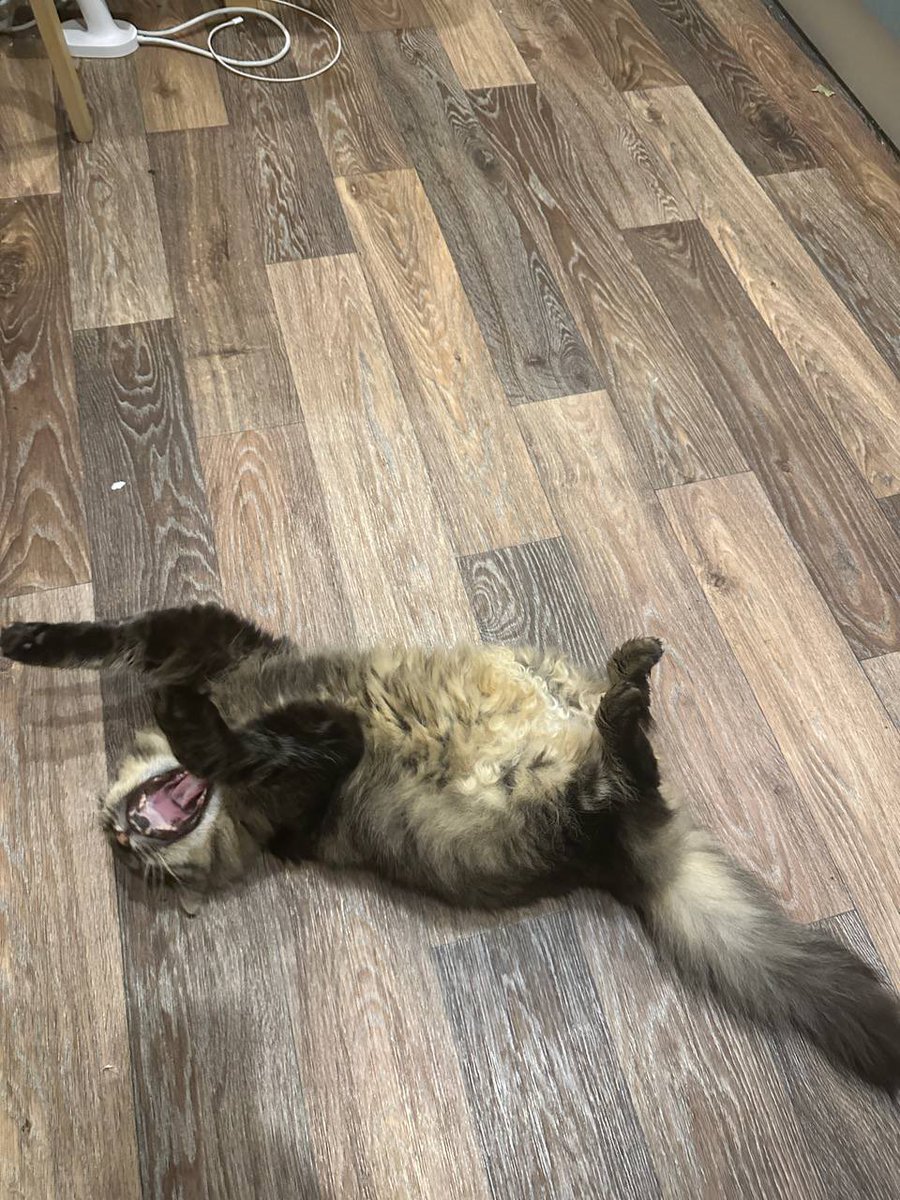 многоокое tweet media