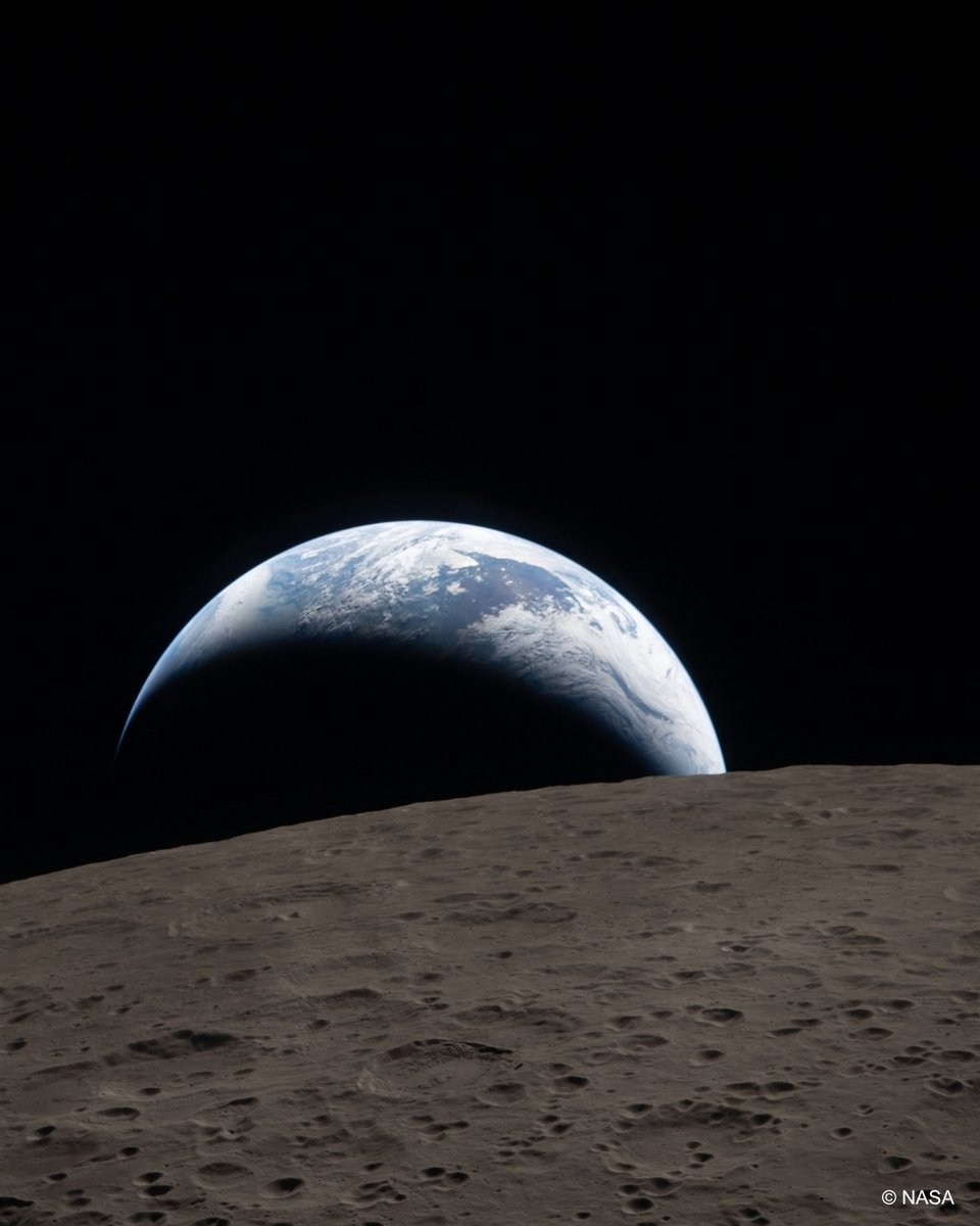 European Research Council (ERC) tweet media