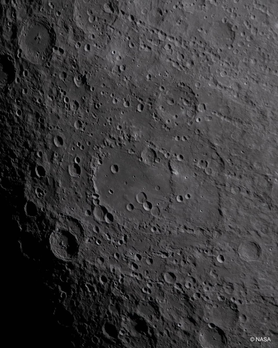 European Research Council (ERC) tweet media