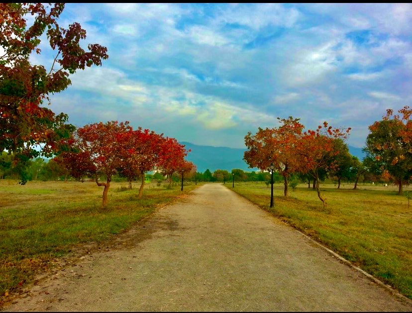 inzonomics's tweet photo. Islamabad is another version of Camp David, with more scenic views and better chai.

#IslamabadTheDestiny
#PakPeaceDiplomacy
#IslamabadTalks https://t.co/wl29Y9jGgD