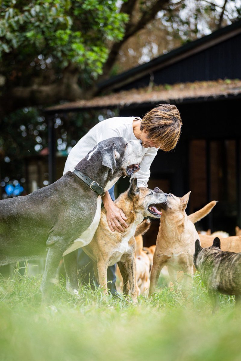 noris / ノーリス tweet media