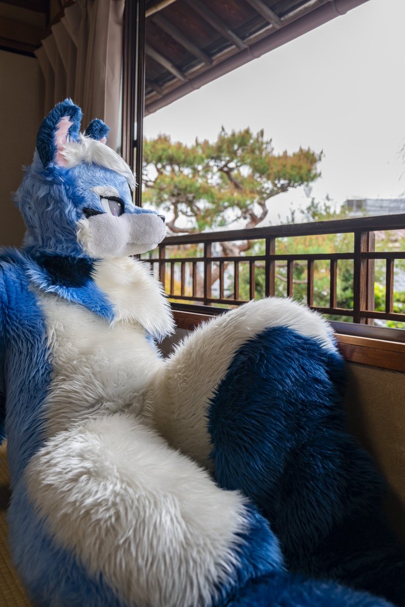 ユーリオ tweet media