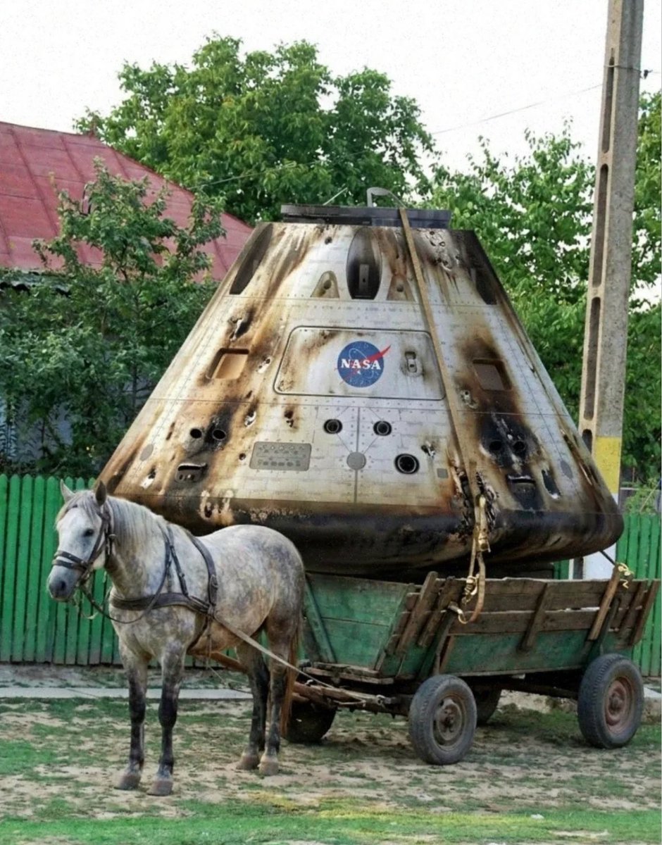 🅰️leksa 🇷🇸⛷🛵🎾 tweet media