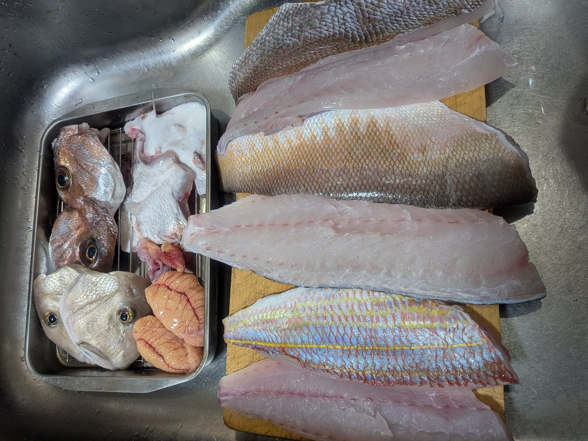 食べごろ3きょうだい。
どれも美味しそうだったので、いつもより丁寧に血抜きしたつもりだったけど…、まだ甘かったかな💧

白アマは全然50無かったです🙃

【忘備録】
水深30〜38ぐらい
ひとつテンヤ系は動かすより底を這わす方が良いかも？