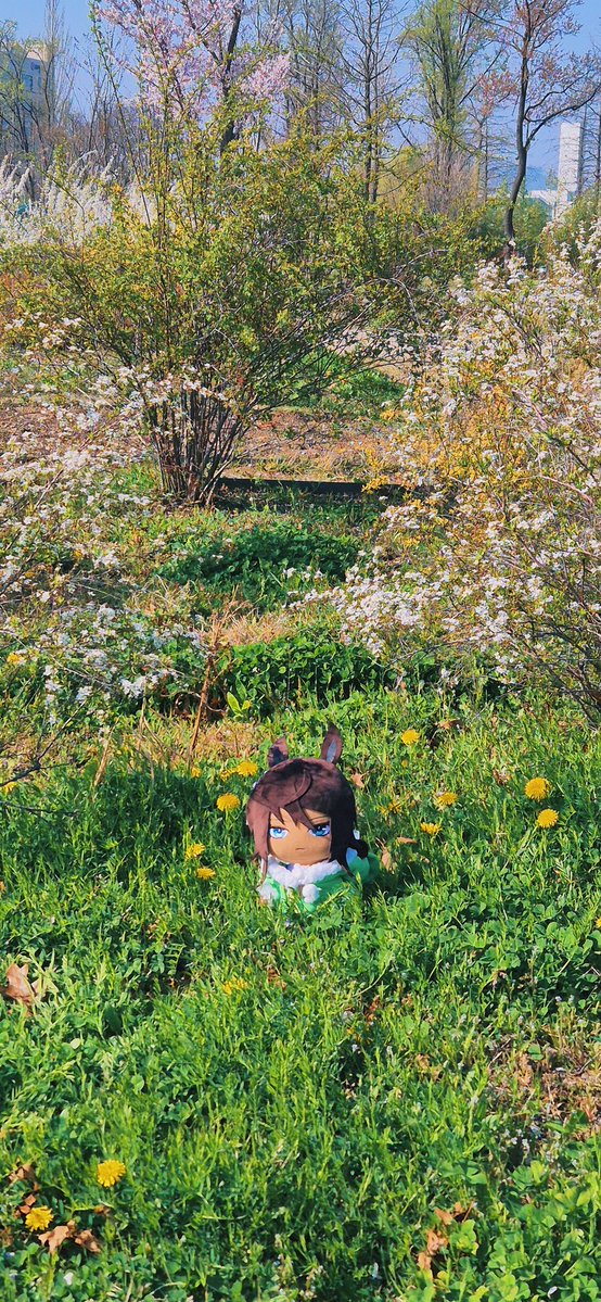 宿命ぬい tweet media