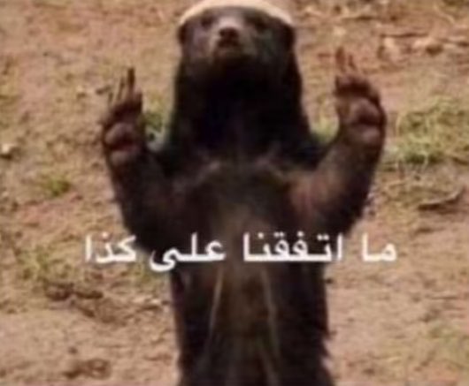 الكآدي ♈︎ tweet media