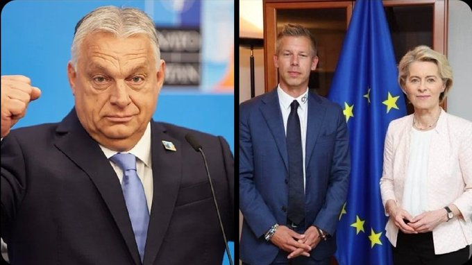 John #PiS2027 🇵🇱🤝🇺🇸🤝🇭🇺 tweet media