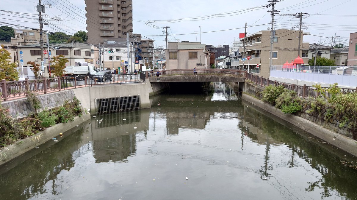morningvtec's tweet photo. 海ではないが、川に張り出した建物が神奈川県横須賀市追浜にもある。
京急追浜駅を降りて駅前の商店街を日産追浜工場方面に歩くと、左側にあるお店のほとんどが川に張り出している。
表からだと分からないが、裏へ回ると衝撃の光景が。 https://t.co/loQZN5Dk05