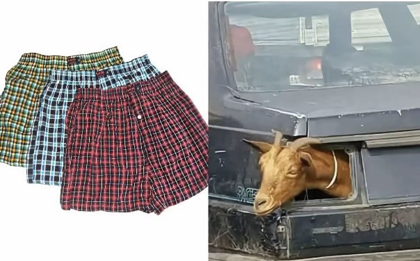 🌍WORLD_EBONY tweet media