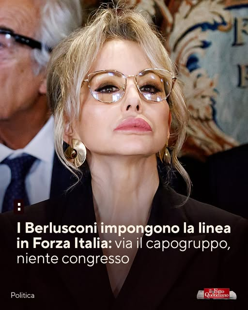 SereBellardinelli tweet media