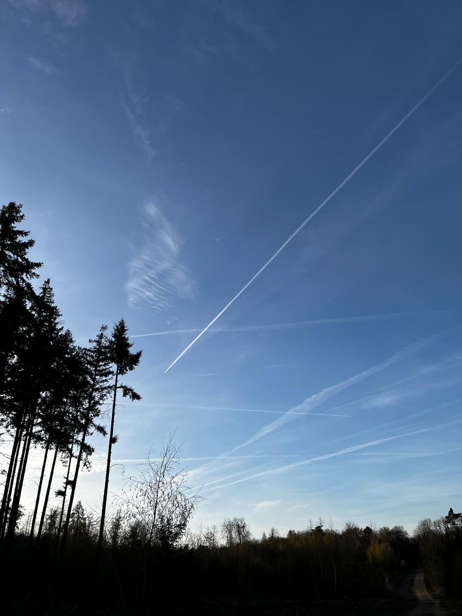 mara@räumtauf⭐️ tweet media